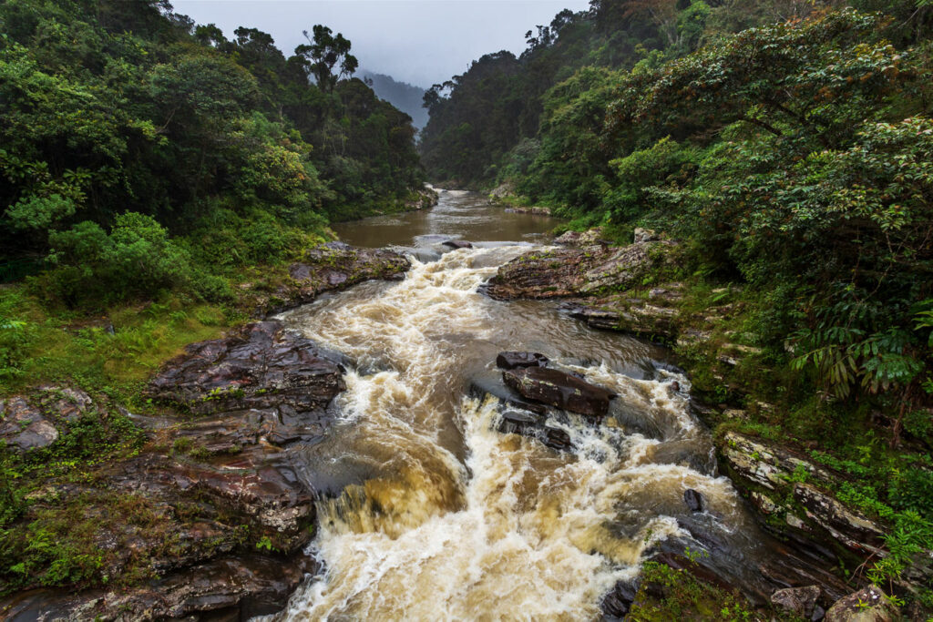 ranomafana